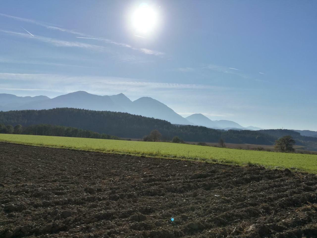 Landgasthof Piroutz Sankt Kanzian am Klopeiner See Buitenkant foto